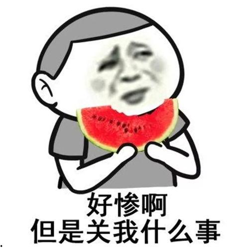 吃瓜心声真千金有秘密免费,真千金背后的惊人秘密大公开 第2张 吃瓜心声真千金有秘密免费,真千金背后的惊人秘密大公开 第2张